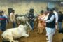 बहादुरगढ़ को पॉलिथीन मुक्त बनाने के लिए बहादुरगढ़ की सामाजिक संस्थाओं के प्रतिनिधियों व सामाजिक कार्यकर्ताओं ने एसडीएम जगनिवास को सौंपा ज्ञापन