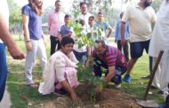 पार्क में 50 पेड़ पौधे लगाकर मनाया जन्मदिन ।