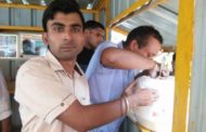 500 गरीबों को भोजन खिलाकर विपिन अग्रवाल ने मनाया जन्मदिन