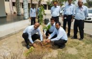 पर्यावरण दिवस पर पारले बिस्कुट के अधिकारियों ने सभी कर्मचारियों को किए पौधे वितरित।