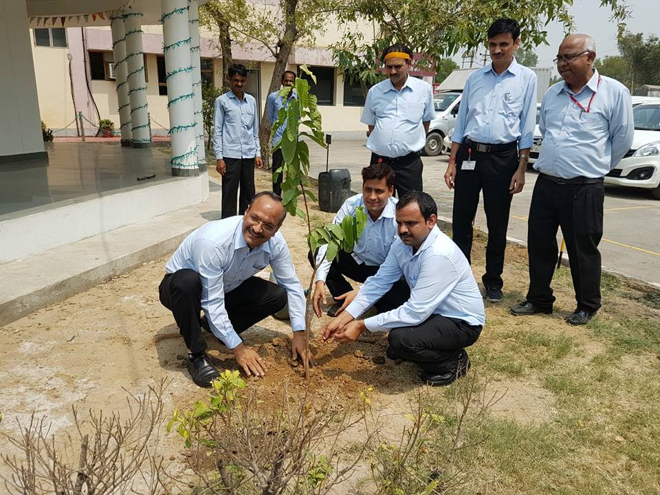 पर्यावरण दिवस पर पारले बिस्कुट के अधिकारियों ने सभी कर्मचारियों को किए पौधे वितरित।