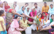 हरियाणा प्रदेश महिला कांग्रेस महासचिव प्रशासनिक इंचार्ज एवं वरिष्ठ उपाध्यक्ष डा. नीना सतपाल राठी ने बहादुरगढ़ के ओमेक्स परिसर में किया पौधरोपण -हर शुभ कार्य पर आमजन करें पौधे रोपित -डा. नीना सतपाल राठी ने पर्यावरण शुद्धता के साथ स्वच्छता अपनाने का  किया आह्वान