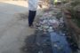 समाज के विभिन्न क्षेत्रो में उल्लेखनीय प्रदर्शन करने वाली महिलाओं को किया गया सम्मानित।