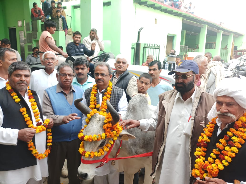 कांग्रेस नेता सतीश छिकारा ने मांडौठी गौशाला में 1 लाख 1 हजार का दिया दान, समाजसेवा से मन को मिलती है शांति : सतीश छिकारा