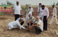 भारत विकास परिषद् की स्थापना दिवस के अवसर पर बहादुरगढ शाखा की ओर से गांव नूना माजरा में किया गया पौधारोपण।