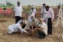 समाज के विभिन्न क्षेत्रो में उल्लेखनीय प्रदर्शन करने वाली महिलाओं को किया गया सम्मानित।