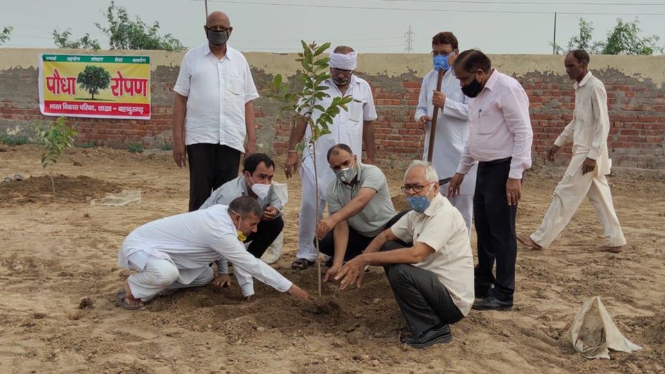 भारत विकास परिषद् की स्थापना दिवस के अवसर पर बहादुरगढ शाखा की ओर से गांव नूना माजरा में किया गया पौधारोपण।