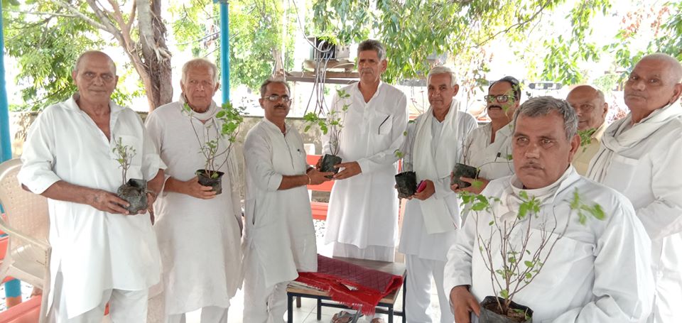 किसान नेता सतीश छिकारा ने लोगों को बांटे तुलसी के पौधें