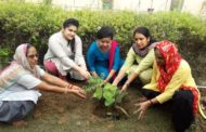 वीएचपी के मातृशक्ति विंग ने लगाई त्रिवेणी  * मातृशक्ति विंग की जिला संयोजिका डॉ अंजू अग्रवाल की अगुवाई में हुआ पौधारोपण कार्यक्रम  * मौजूद लोगों को भेंट किए गए तुलसी के पौधे तथा भारत की एकता व अखंडता की रक्षा हेतु दिलाई गई शपथ