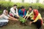समाज के विभिन्न क्षेत्रो में उल्लेखनीय प्रदर्शन करने वाली महिलाओं को किया गया सम्मानित।