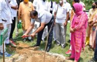 स्वच्छ वातावरण ही विकासात्मक स्वरूप का साक्षात उदाहरण : डीसी - डीसी जितेंद्र कुमार ने किया सवेरा स्कूल प्रांगण में पौधरोपण