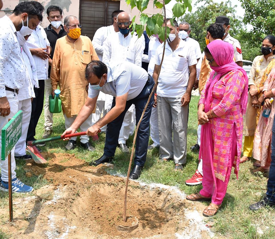 स्वच्छ वातावरण ही विकासात्मक स्वरूप का साक्षात उदाहरण : डीसी - डीसी जितेंद्र कुमार ने किया सवेरा स्कूल प्रांगण में पौधरोपण