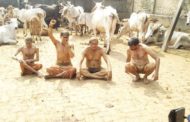 गौमाता को राष्ट्र माता का सम्मान दिलवाने हेतु 7वां गौबर, गौमूत्र स्नान महोत्सव का हुआ आयोजन,  गौमाता की सेवा करने से ही समाज का उत्थान संभव : प्रधान कर्मवीर राठी