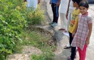 पार्षद सैनी ने किया सफाई सुपरवाइज़र के साथ सेक्टर -9, 9ए का दौरा, सैनी बोले आमजन की सुविधा के लिए सभी विभागों के नंबर होंगे सावर्जनिक --वार्ड -14