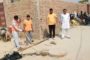 समाज के विभिन्न क्षेत्रो में उल्लेखनीय प्रदर्शन करने वाली महिलाओं को किया गया सम्मानित।