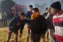 समाज के विभिन्न क्षेत्रो में उल्लेखनीय प्रदर्शन करने वाली महिलाओं को किया गया सम्मानित।