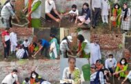 विश्व पर्यावरण दिवस  पर प्राचार्या डॉ. आशा शर्मा ने महाविद्यालय द्वारा गोद लिए हुए गांव सांखोल में वितरित किए तुलसी के पौधे।