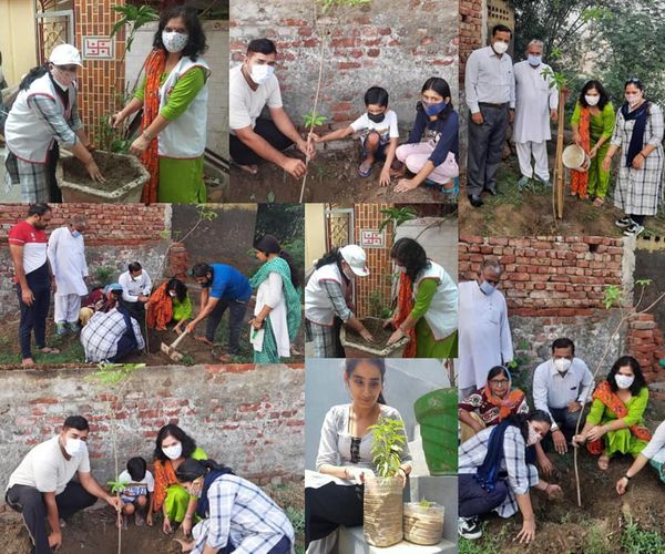 विश्व पर्यावरण दिवस  पर प्राचार्या डॉ. आशा शर्मा ने महाविद्यालय द्वारा गोद लिए हुए गांव सांखोल में वितरित किए तुलसी के पौधे।