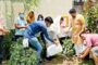 समाज के विभिन्न क्षेत्रो में उल्लेखनीय प्रदर्शन करने वाली महिलाओं को किया गया सम्मानित।