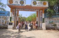 बहादुरगढ़ शहर से बालौर गांव के सरकारी स्कूल में पढ़ने जाते हैं विद्यार्थी।