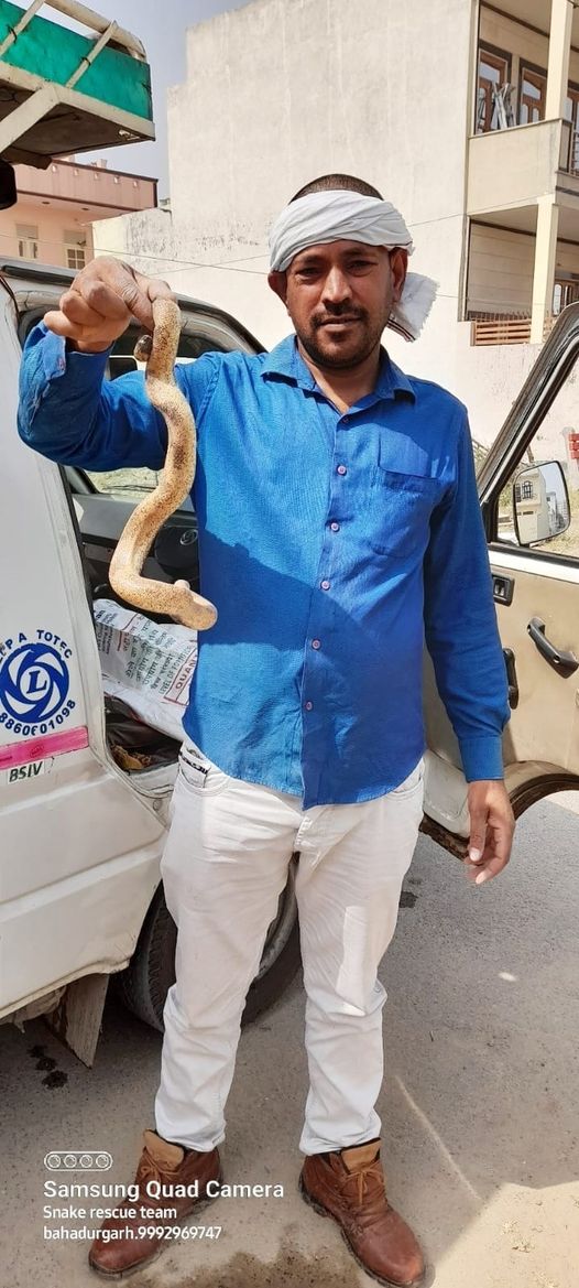 स्नेक मैन ऑफ बहादुरगढ़ -बलविंद्र राठी
